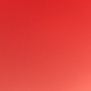 Meet your Posher, Jessie